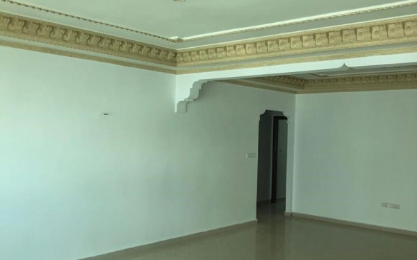 02-randome-62274efee6f3e